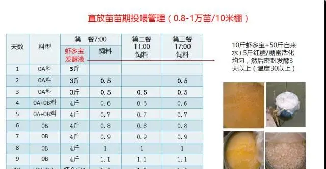 江苏南通如东小棚直放苗保全放苗流程