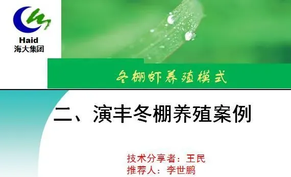 海南海口演丰镇、澄迈县桥头镇冬棚对虾养殖模式分享