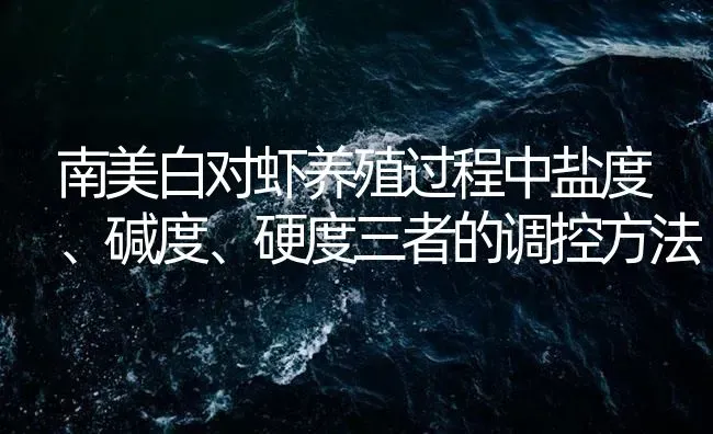 南美白对虾养殖过程中盐度、碱度、硬度三者的调控方法 | 海水养殖