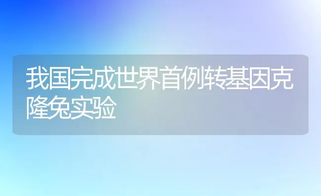 我国完成世界首例转基因克隆兔实验 | 家畜养殖