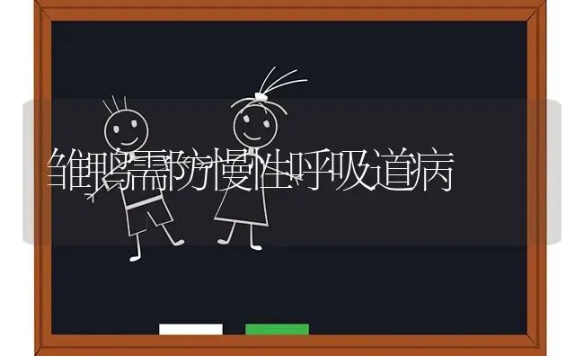 雏鸭需防慢性呼吸道病 | 家禽养殖