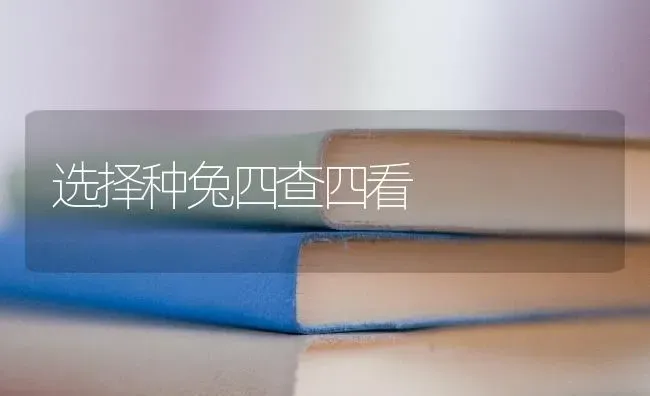 选择种兔四查四看 | 家畜养殖