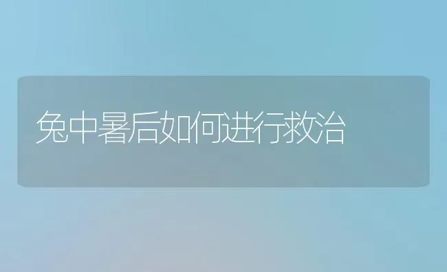 兔中暑后如何进行救治 | 家畜养殖