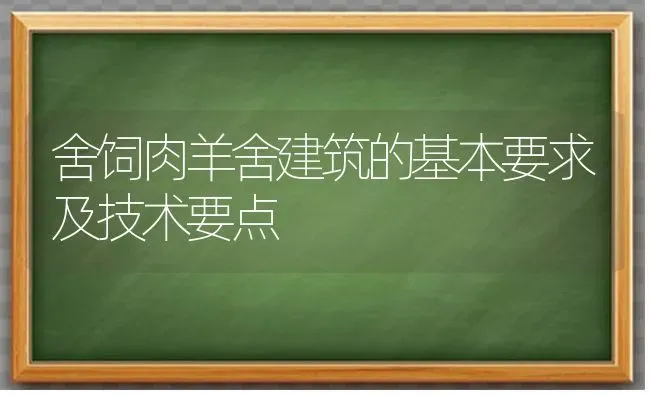 舍饲肉羊舍建筑的基本要求及技术要点 | 家畜养殖