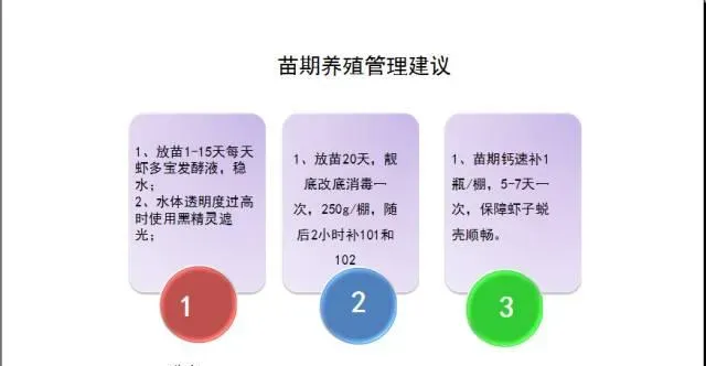 江苏南通如东小棚直放苗保全放苗流程