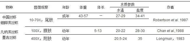 【外文翻译】对虾外壳：角质层与蜕壳周期