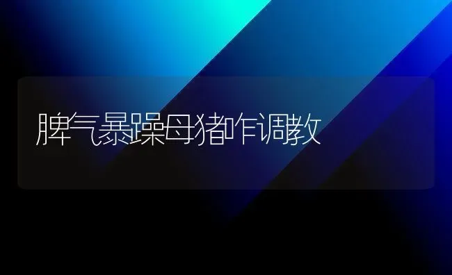 脾气暴躁母猪咋调教 | 家畜养殖