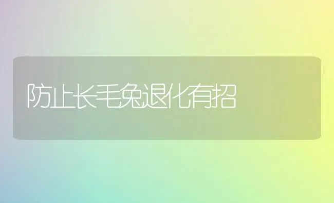 防止长毛兔退化有招 | 家畜养殖