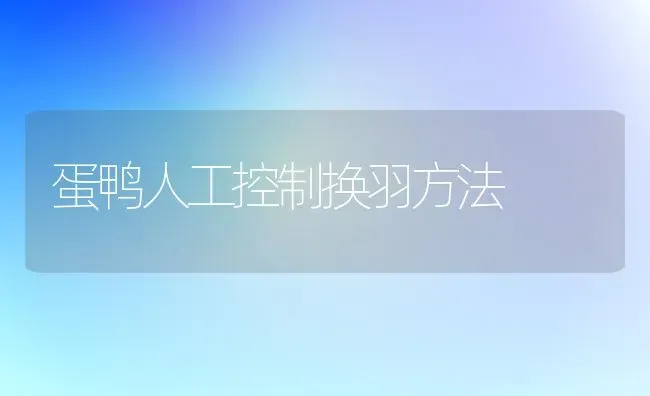 蛋鸭人工控制换羽方法 | 家禽养殖