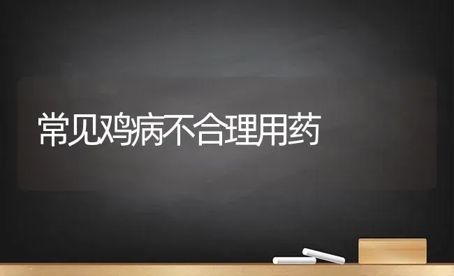 常见鸡病不合理用药 | 养殖病虫害防治