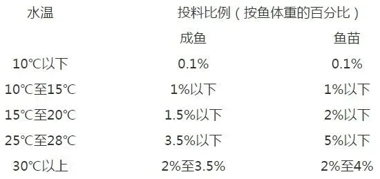 斑点叉尾鮰鱼塘管理操作实务篇