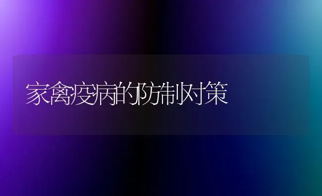 家禽疫病的防制对策 | 家禽养殖