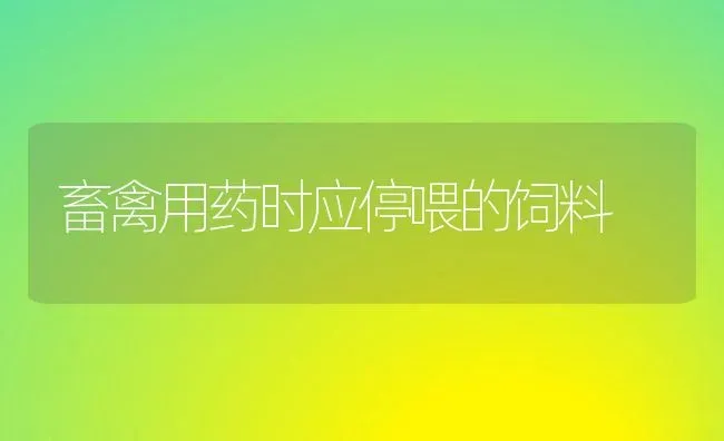 畜禽用药时应停喂的饲料 | 养殖病虫害防治