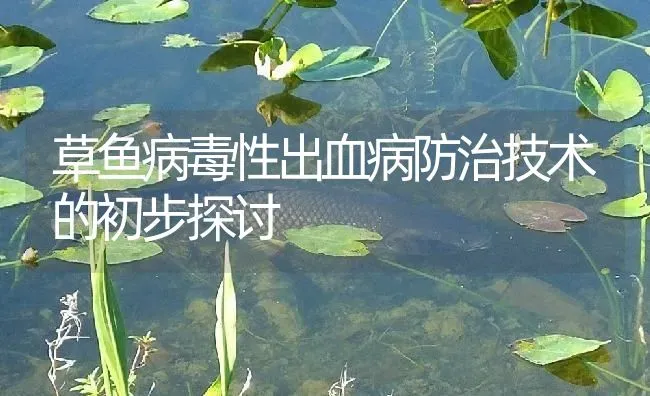 草鱼病毒性出血病防治技术的初步探讨 | 淡水养殖