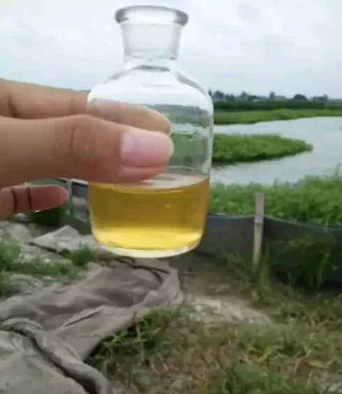 水产养殖户不可不知的三大水质指标