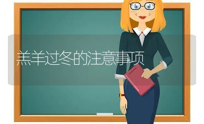 羔羊过冬的注意事项 | 家畜养殖