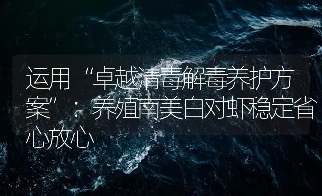 运用“卓越清毒解毒养护方案”：养殖南美白对虾稳定省心放心 | 海水养殖