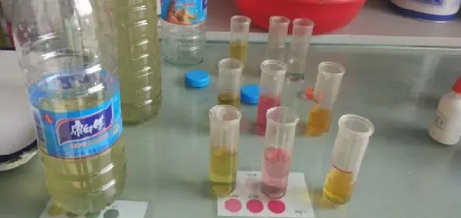 【淡水鱼专题】辽中地区高温期鱼吃料差的原因分析及处理方法
