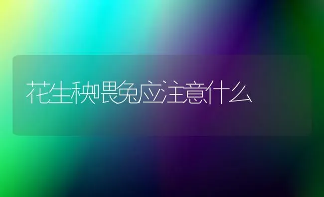 花生秧喂兔应注意什么 | 家畜养殖