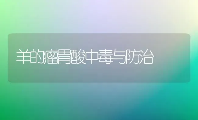 羊的瘤胃酸中毒与防治 | 家畜养殖