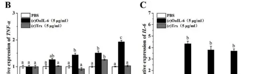 尼罗罗非鱼IL-6受体(IL-6R)和糖蛋白130(Gp130)的分子功能研究