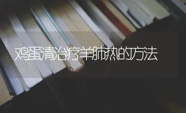 鸡蛋清治疗羊肺热的方法 | 家畜养殖