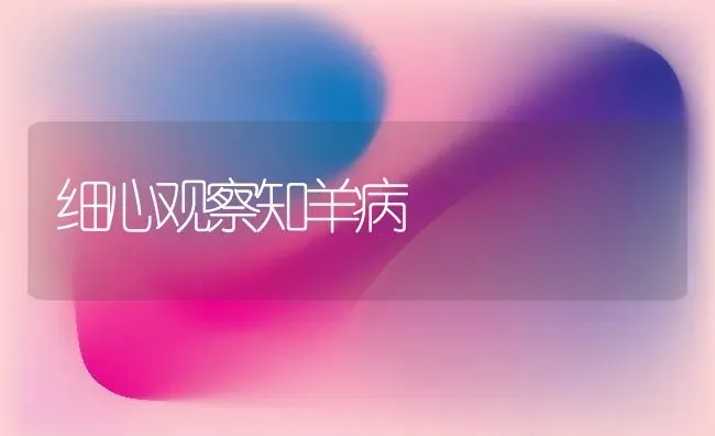 细心观察知羊病 | 家畜养殖