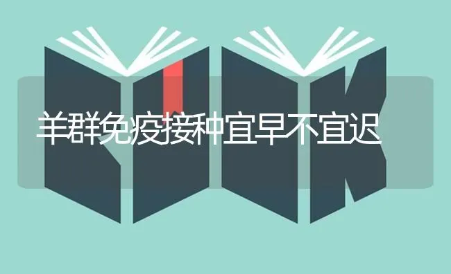 羊群免疫接种宜早不宜迟 | 家畜养殖