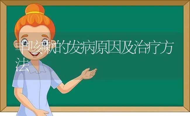 羊咳嗽的发病原因及治疗方法 | 家畜养殖