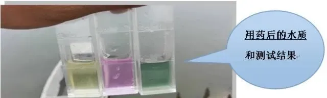 梅雨期的水质管理—黄颡鱼塘亚硝酸盐高不吃食的处理方法