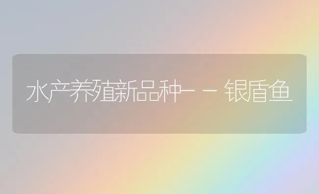 水产养殖新品种--银盾鱼 | 淡水养殖