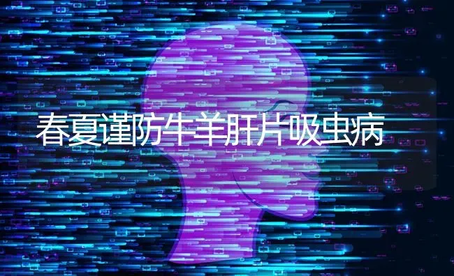 春夏谨防牛羊肝片吸虫病 | 家畜养殖