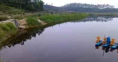 妙用活菌养水护水调水 对虾养殖户遇红黑水色不再愁