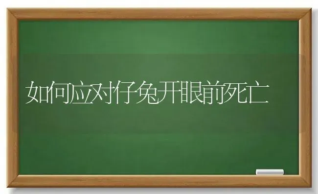 如何应对仔兔开眼前死亡 | 家畜养殖