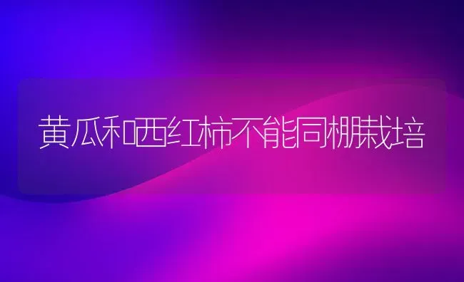 仔猪养得好 管理不能少 | 家畜养殖