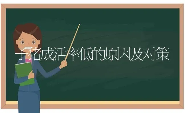 子猪成活率低的原因及对策 | 家畜养殖