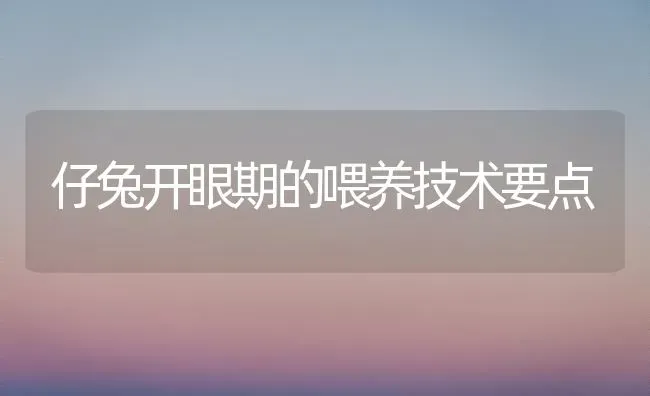 仔兔开眼期的喂养技术要点 | 家畜养殖