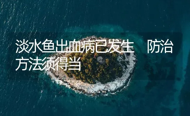 淡水鱼出血病已发生 防治方法须得当 | 养殖病虫害防治