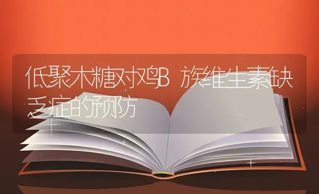 低聚木糖对鸡B族维生素缺乏症的预防 | 家禽养殖