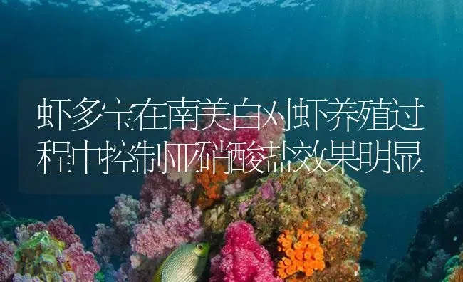 虾多宝在南美白对虾养殖过程中控制亚硝酸盐效果明显 | 海水养殖