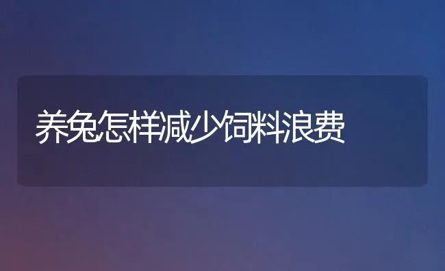 养兔怎样减少饲料浪费 | 动物养殖饲料