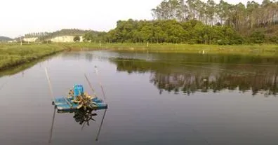 妙用活菌养水护水调水 对虾养殖户遇红黑水色不再愁