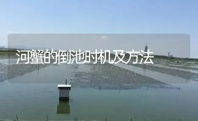 河蟹的倒池时机及方法 | 淡水养殖