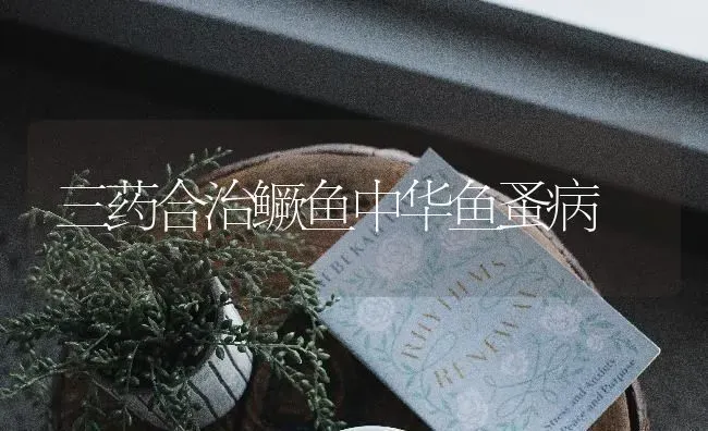三药合治鳜鱼中华鱼蚤病 | 养殖病虫害防治