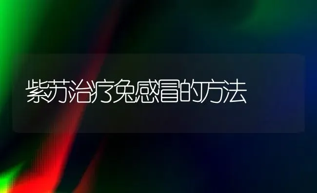 紫苏治疗兔感冒的方法 | 家畜养殖