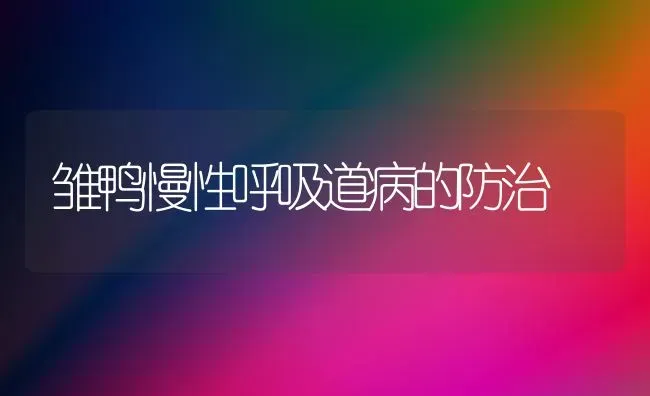 雏鸭慢性呼吸道病的防治 | 家禽养殖