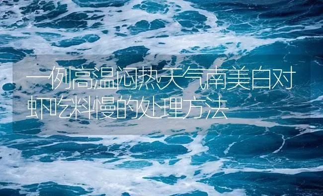 一例高温闷热天气南美白对虾吃料慢的处理方法 | 海水养殖