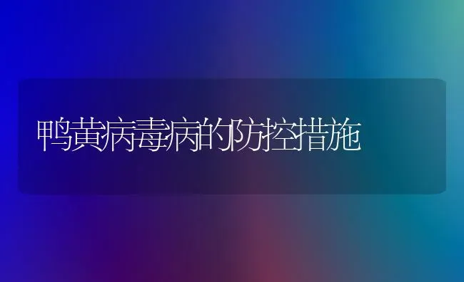 鸭黄病毒病的防控措施 | 家禽养殖