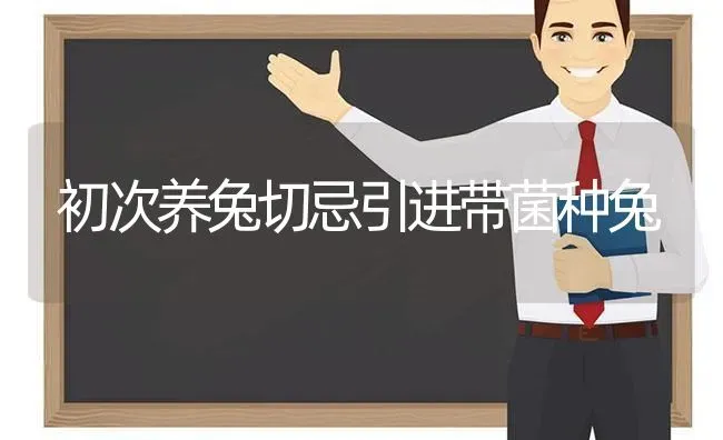 初次养兔切忌引进带菌种兔 | 家畜养殖