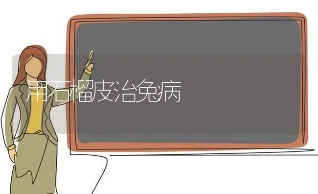 用石榴皮治兔病 | 家畜养殖